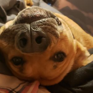 Meet your Posher, Brittney